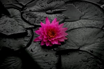 1000059051