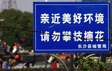 IMGP8369.jpg