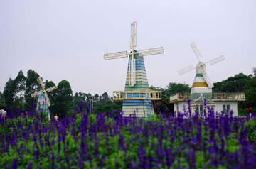 IMGP0049.jpg