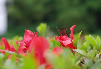 IMGP0904.jpg
