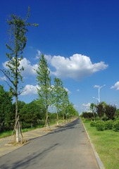 IMGP2569.jpg