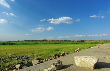 IMGP2648.jpg