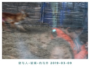 731655