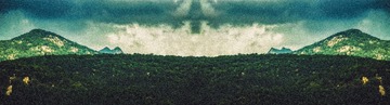 1000087096