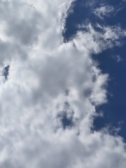 1000010919