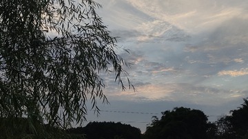 1000056336