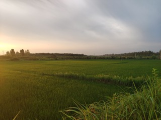 3466732