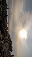 1000074317