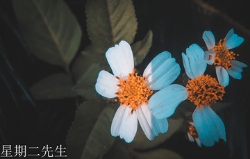 1000070130