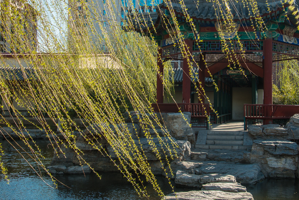 风吹柳丝万千条