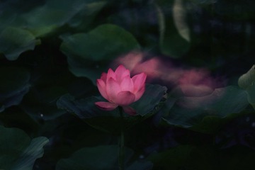 001
