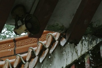 25041