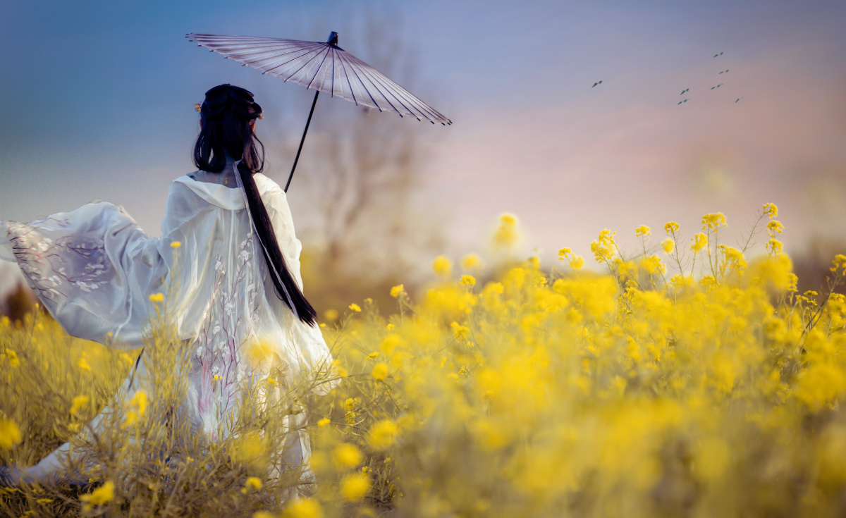 油菜花配古风也很绝啊