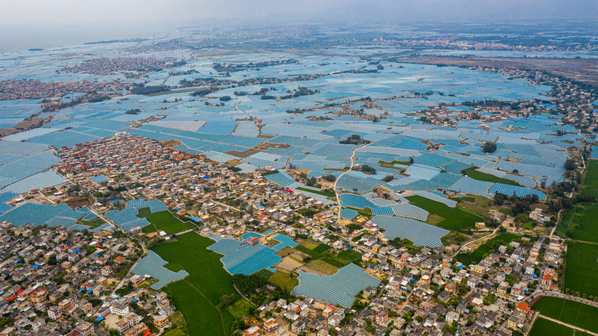 海南乐东佛罗镇丰塘村