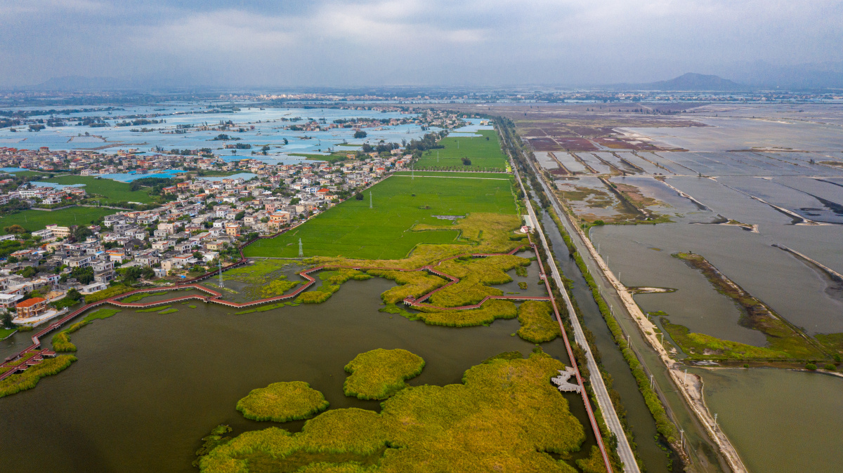 海南乐东佛罗镇丰塘村湿地