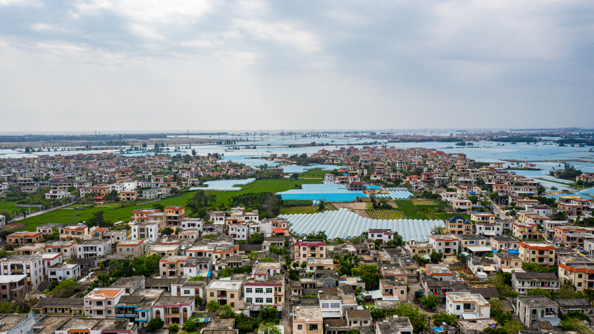 海南乐东佛罗镇丰塘村