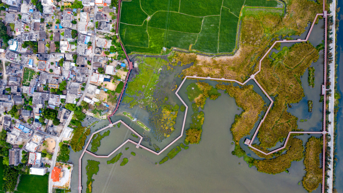 海南乐东佛罗镇丰塘村