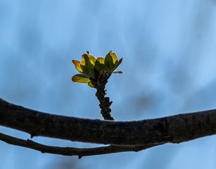 1000188199