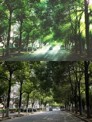 学习丁达尔
