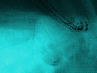 IMG_20121029_165806a.jpg