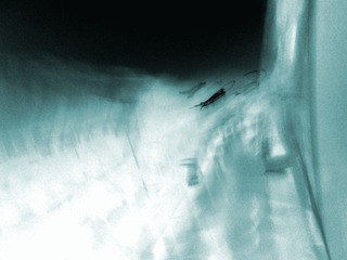 IMG_20121029_165932a.jpg