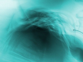 IMG_20121029_1706552.jpg