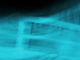 IMG_20121029_1701492.jpg