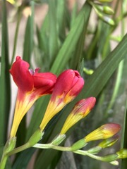 001