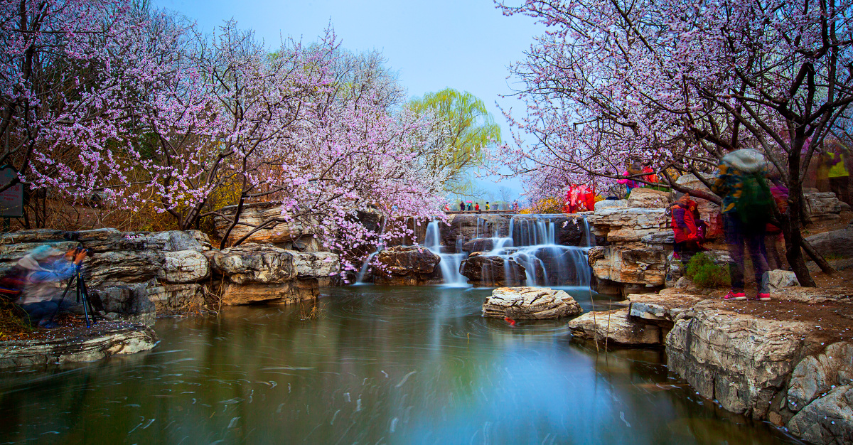 北京植物园桃花溪