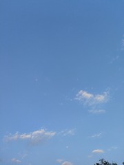 1000026575