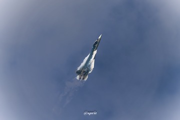 1000071836