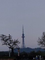 1000025666