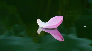 33353