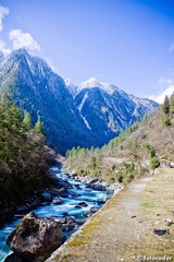 Tibet-183.jpg
