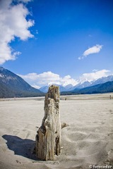 Tibet-227.jpg