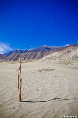 Tibet-470.jpg