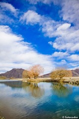Tibet-822.jpg