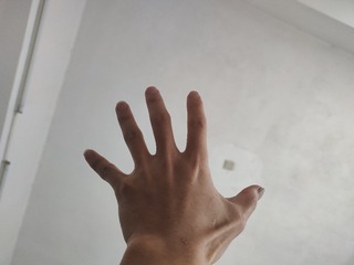 1000053393