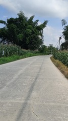 1000002523