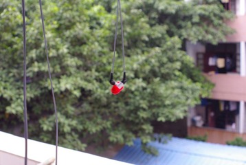 _IGP7728.JPG