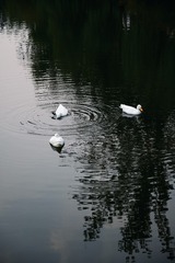1000148253