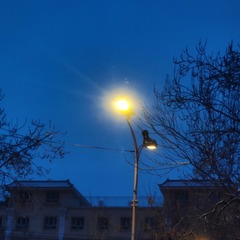 1000111729