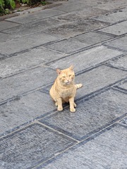 1000005706