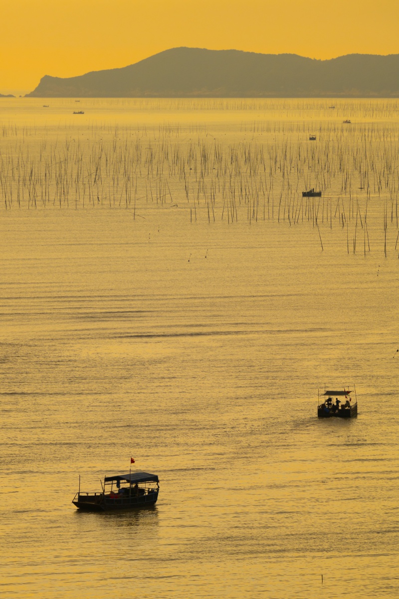 福建霞浦北岐滩涂的日出