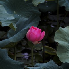 001