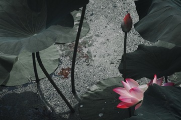 001