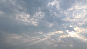 1000023773