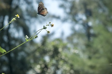 09372125-00BB-4D88-AA5B-3BC45F93B184/L0/001