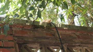DSC01961.JPG