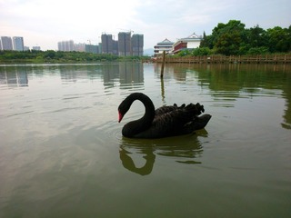 DSC_0026.jpg